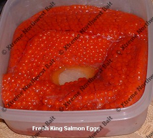 Fresh Salmon Egg, Fresh Salmon Roe, Xtreme Northwest Bait Co